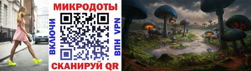 где купить   Иноземцево  Псилоцибиновые грибы GOLDEN TEACHER 